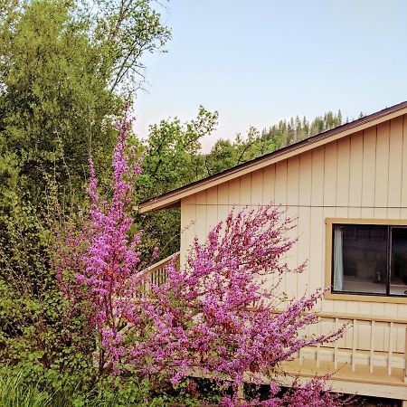 Yosemite Haven @ Pine Mountain Lake. Dog Friendly! Groveland Exterior photo